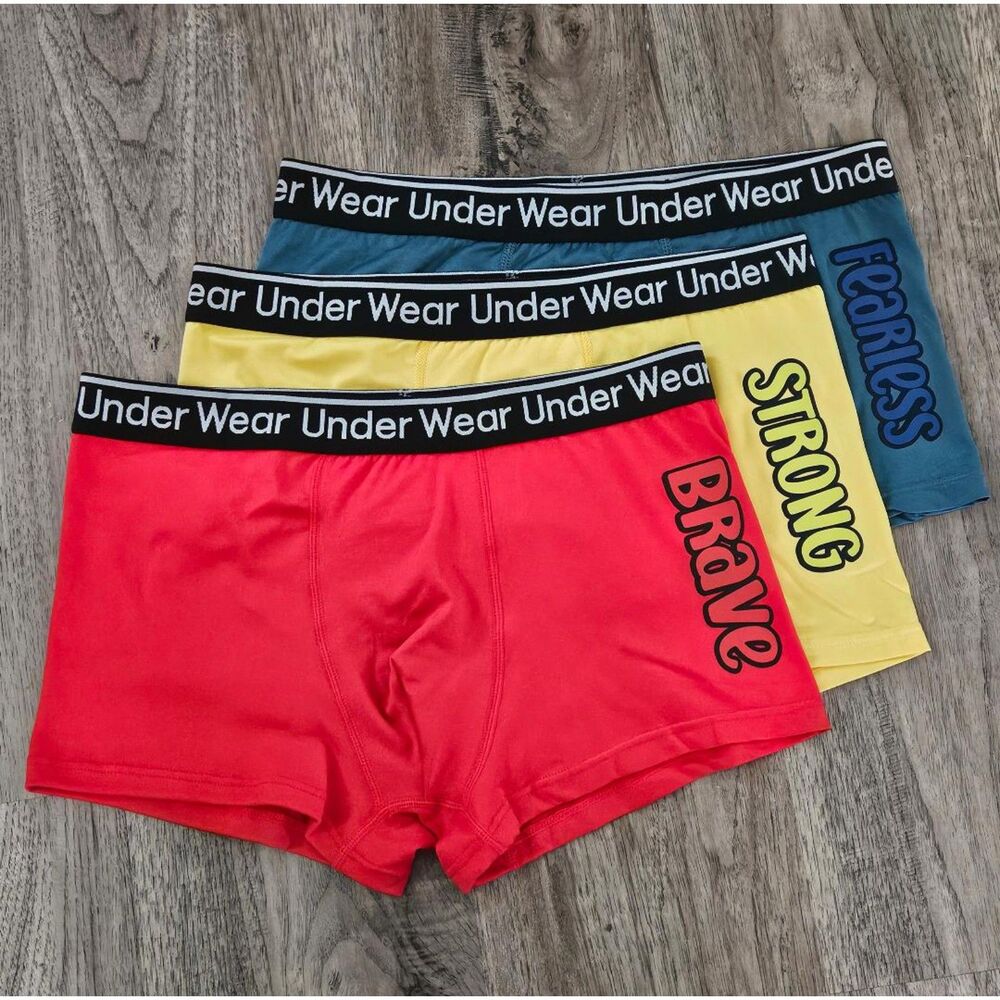 New 3 Pair Boys Mens Underwear Bikini Boxer Briefs Strong Brave Fearless Sz 16Y
